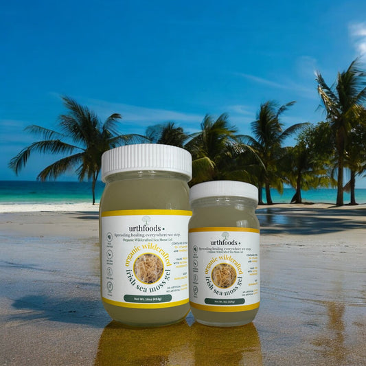 Original Wildcrafted Sea Moss Gel