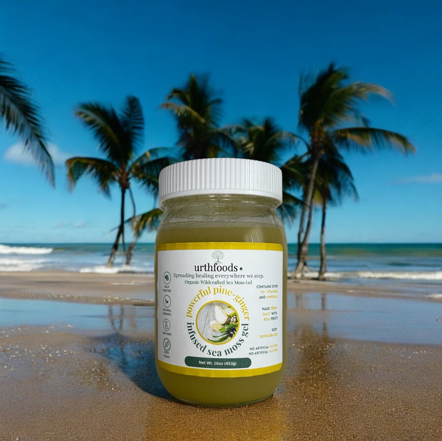 Powerful Pine-Ginger Sea Moss Gel