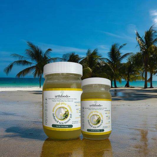 Powerful Pine-Ginger Sea Moss Gel